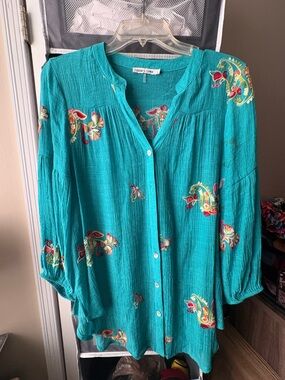 fig and flower Teal Embroidered Button-Front Blouse